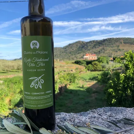 Quinta Do Palame Vila Flor