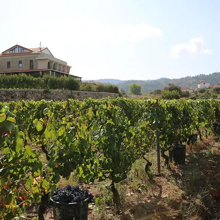 Quinta Do Palame Vila Flor