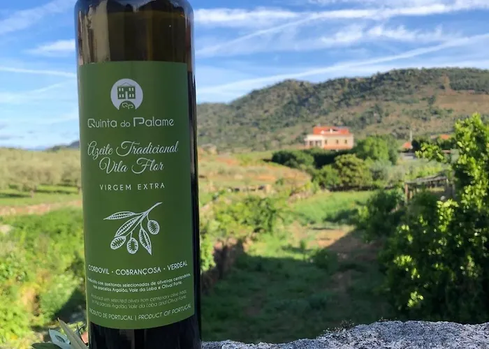 Quinta Do Palame 费洛尔镇