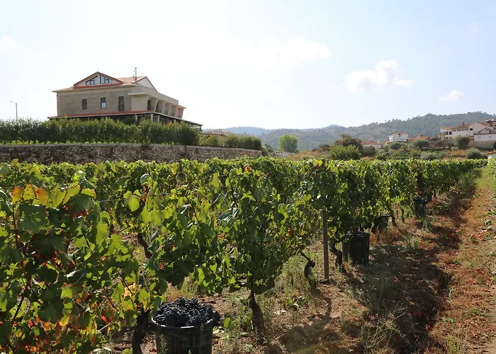 Quinta Do Palame Vila Flor