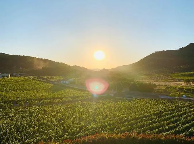 Quinta Do Palame Alloggio per agriturismo *